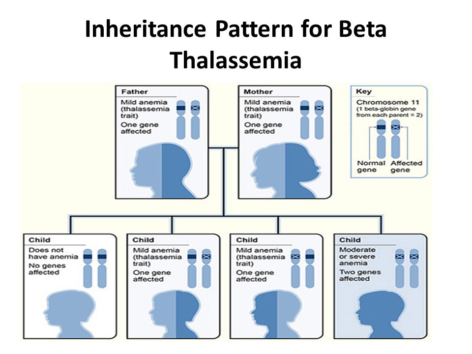 alpha and beta thalassemia parents place